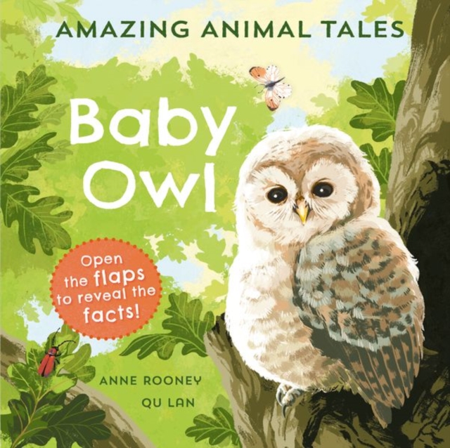 Amazing Animal Tales: Baby Owl, Hardback Book