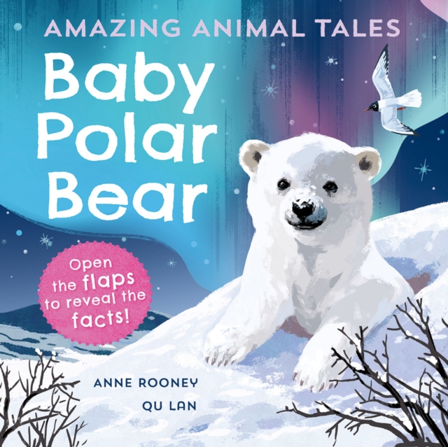 Amazing Animal Tales: Baby Polar Bear, Paperback / softback Book