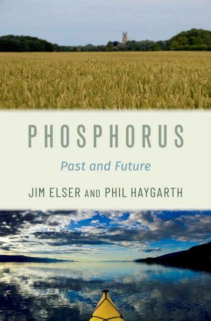 Phosphorus : Past and Future, EPUB eBook
