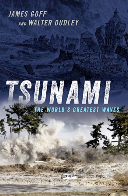 Tsunami : The World's Greatest Waves, EPUB eBook