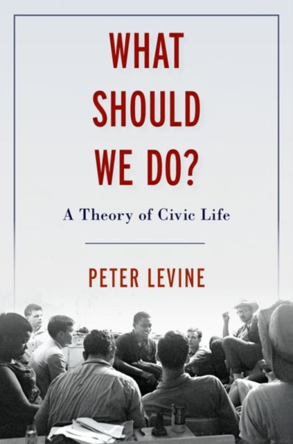 What Should We Do? : A Theory of Civic Life, Hardback Book