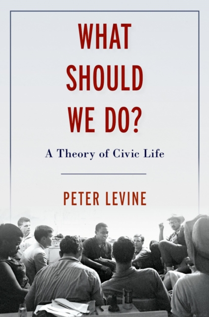 What Should We Do? : A Theory of Civic Life, PDF eBook