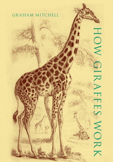 How Giraffes Work, PDF eBook