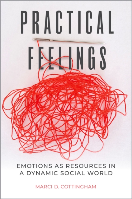 Practical Feelings : Emotions as Resources in a Dynamic Social World, EPUB eBook