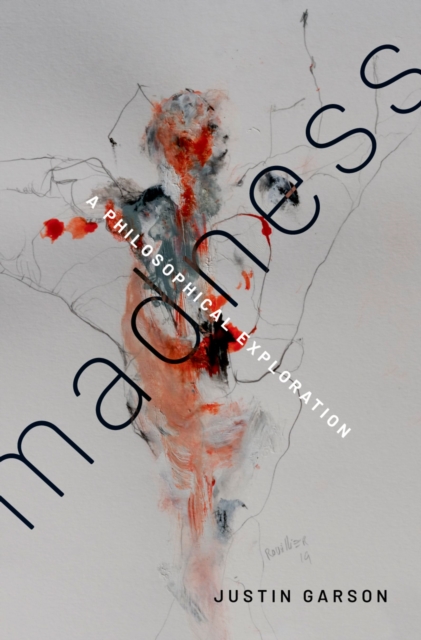 Madness : A Philosophical Exploration, EPUB eBook