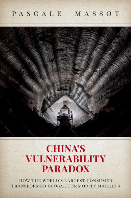 China's Vulnerability Paradox : How the World's Largest Consumer Transformed Global Commodity Markets, EPUB eBook