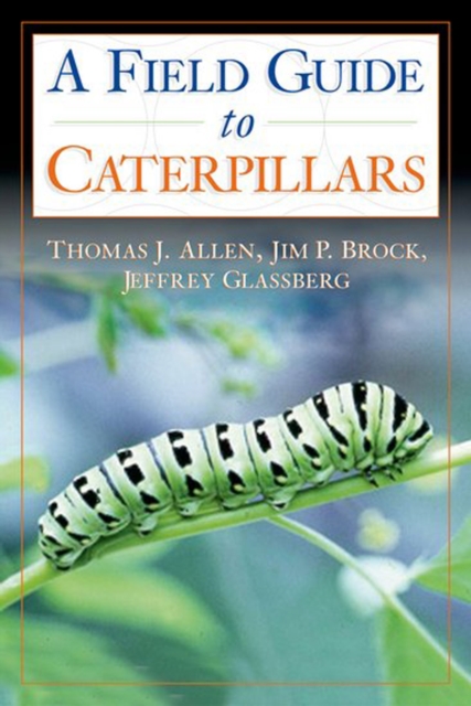 Caterpillars in the Field and Garden : A Field Guide to the Butterfly Caterpillars of North America, PDF eBook