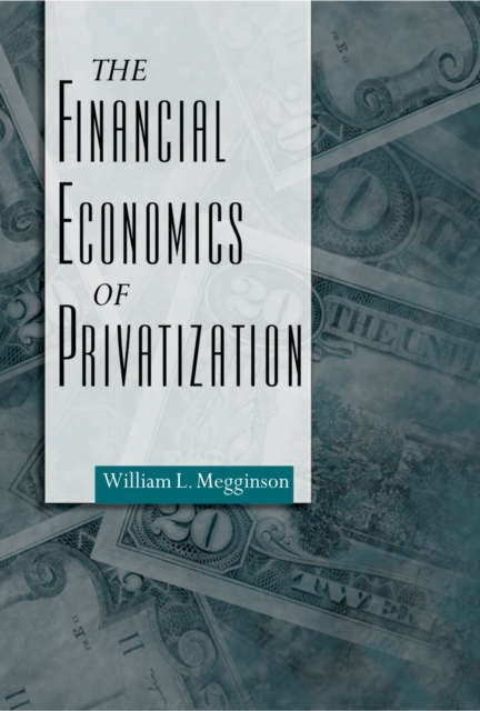 The Financial Economics of Privatization, PDF eBook