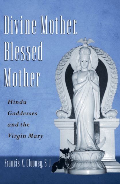 Divine Mother, Blessed Mother : Hindu Goddesses and the Virgin Mary, PDF eBook
