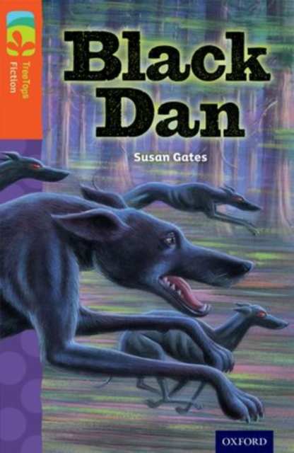 Oxford Reading Tree TreeTops Fiction: Level 13 More Pack A: Black Dan, Paperback / softback Book