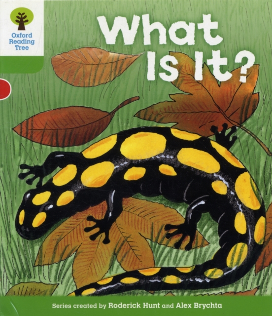 Oxford Reading Tree: Level 2: More Patterned Stories A: What Is It?, Paperback / softback Book