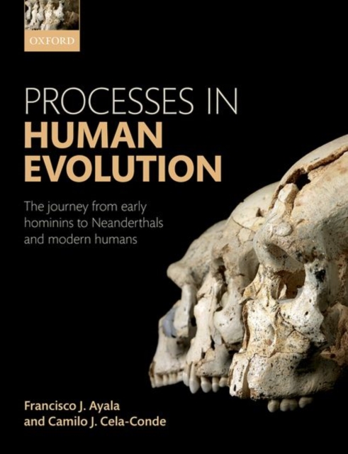 Processes in Human Evolution : The journey from early hominins to Neanderthals and modern humans, Paperback / softback Book