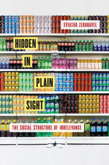 Hidden in Plain Sight : The Social Structure of Irrelevance, PDF eBook
