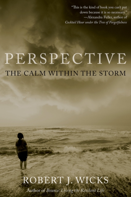 Perspective : The Calm Within the Storm, EPUB eBook