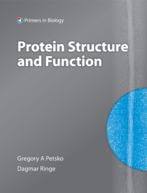 Protein Structure and Function, Paperback / softback Book