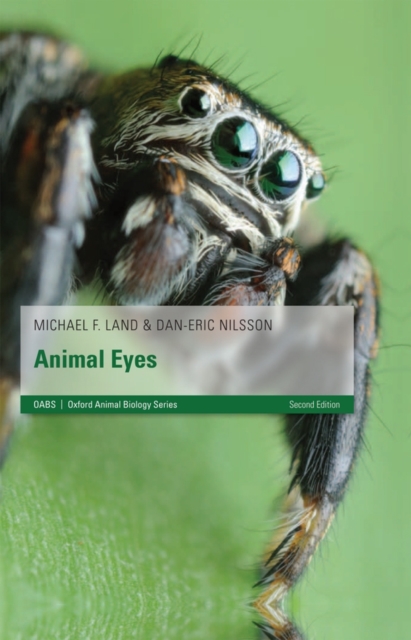 Animal Eyes, Paperback / softback Book