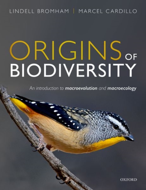 Origins of Biodiversity : An Introduction to Macroevolution and Macroecology, Paperback / softback Book