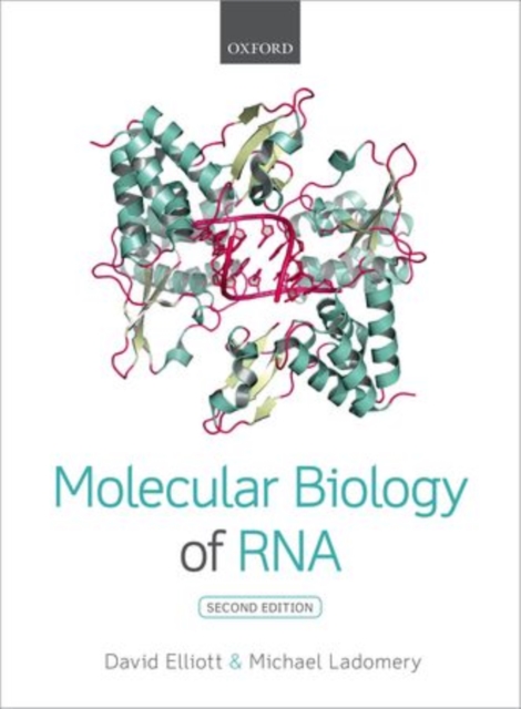 Molecular Biology of RNA, Paperback / softback Book