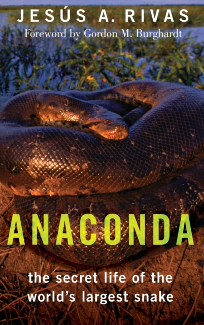 Anaconda : The Secret Life of the World's Largest Snake, Hardback Book