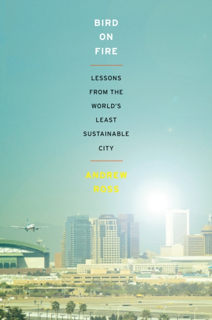 Bird on Fire : Lessons from the World's Least Sustainable City, PDF eBook