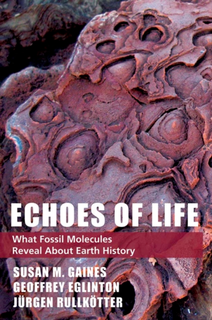 Echoes of Life : What Fossil Molecules Reveal about Earth History, EPUB eBook