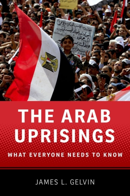 The Arab Uprisings : What Everyone Needs to Know?, PDF eBook