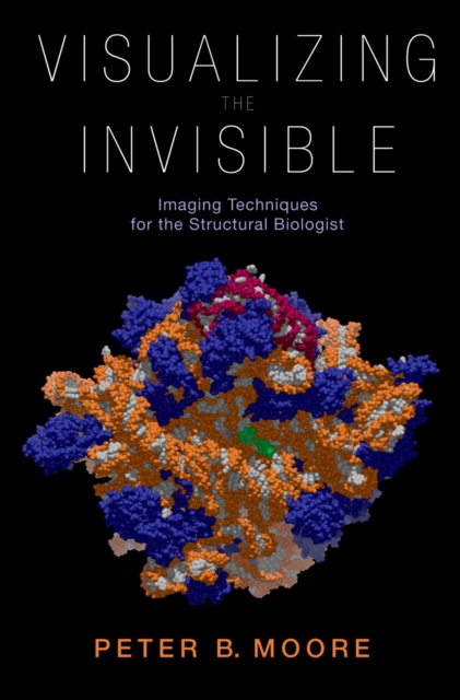 Visualizing the Invisible : Imaging Techniques for the Structural Biologist, PDF eBook