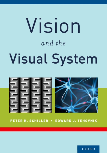 Vision and the Visual System, PDF eBook