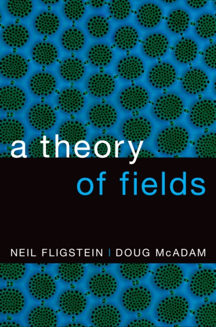 A Theory of Fields, EPUB eBook