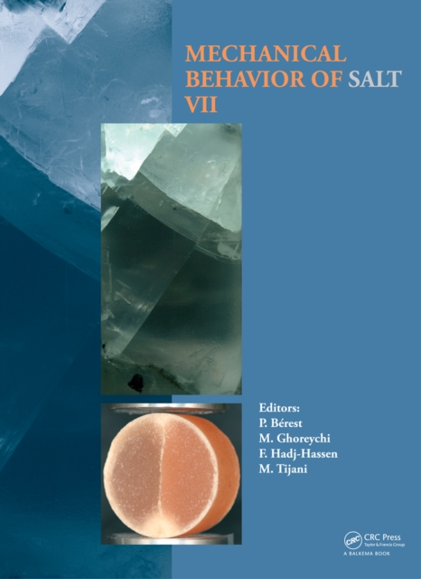 Mechanical Behaviour of Salt VII, PDF eBook