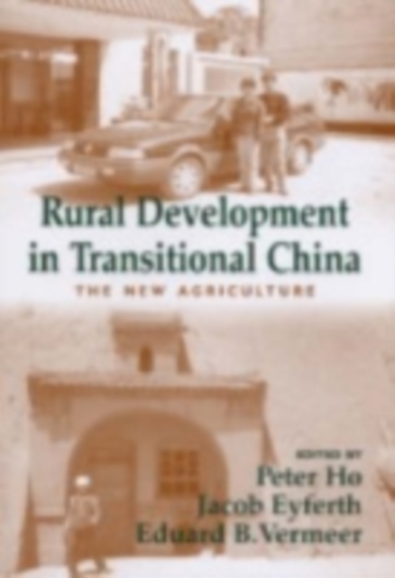 Rural Development in Transitional China : The New Agriculture, PDF eBook