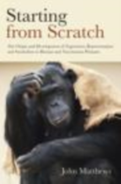 Starting from Scratch : The Origin and Development of Expression, Representation and Symbolism in Human and Non-Human Primates, EPUB eBook