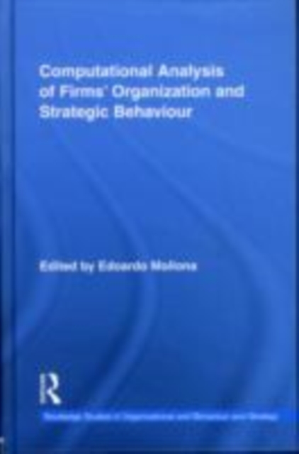 Computational Analysis of Firms' Organization and Strategic Behaviour, EPUB eBook