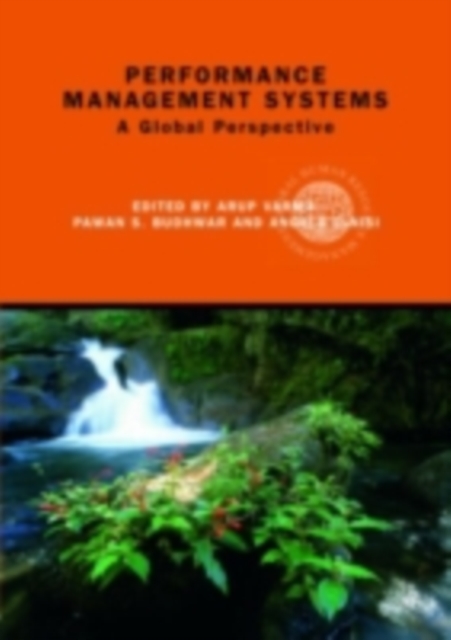 Performance Management Systems : A Global Perspective, PDF eBook