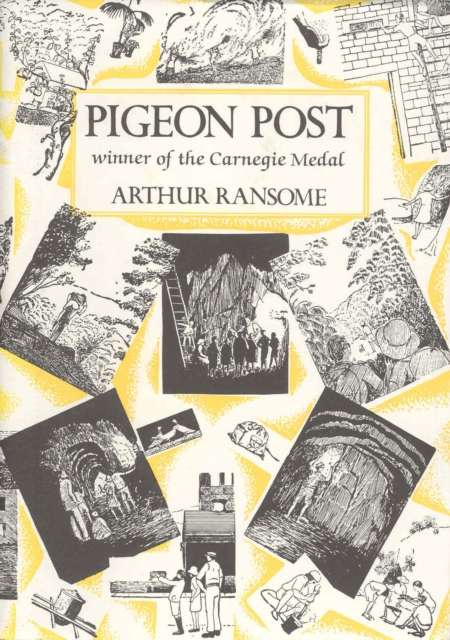 Pigeon Post, Hardback Book