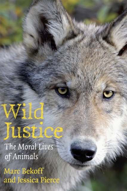 Wild Justice : The Moral Lives of Animals, Paperback / softback Book