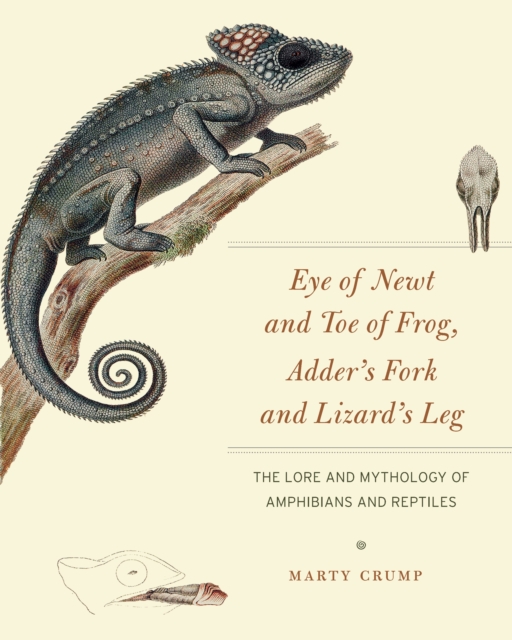 Eye of Newt and Toe of Frog, Adder's Fork and Lizard's Leg : The Lore and Mythology of Amphibians and Reptiles, EPUB eBook