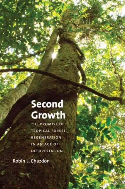 Second Growth : The Promise of Tropical Forest Regeneration in an Age of Deforestation, EPUB eBook