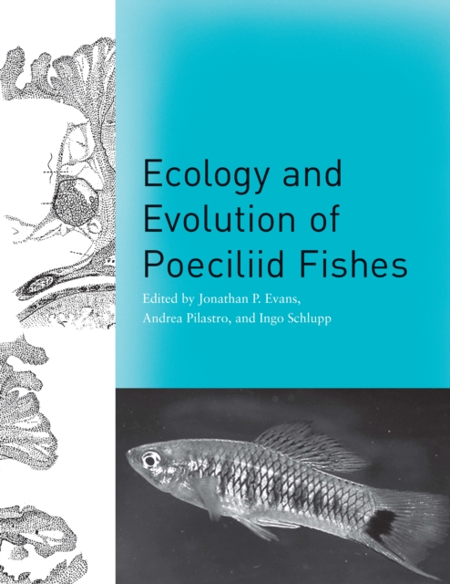 Ecology and Evolution of Poeciliid Fishes, PDF eBook