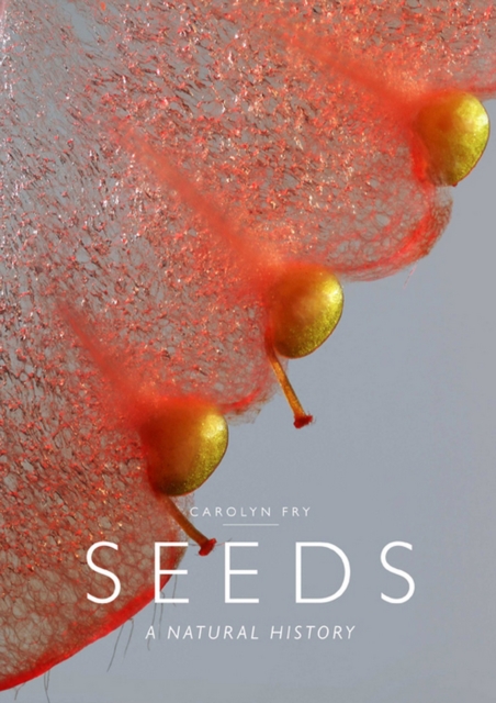 Seeds : A Natural History, EPUB eBook