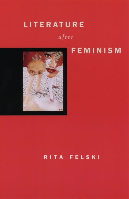 Literature after Feminism, EPUB eBook