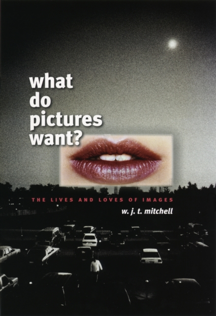 What Do Pictures Want? : The Lives and Loves of Images, EPUB eBook