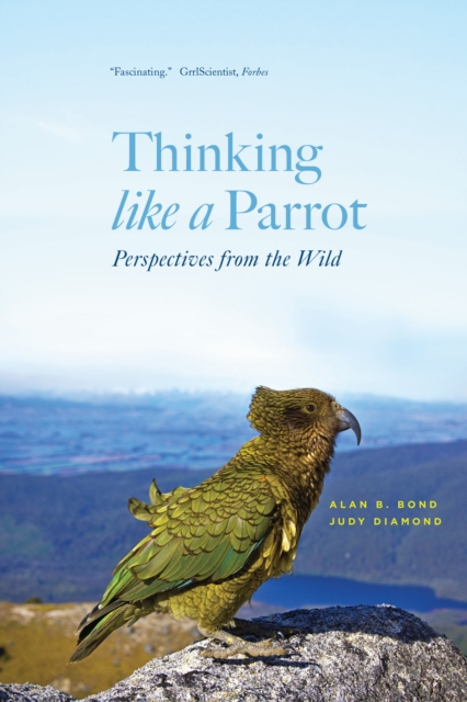 Thinking like a Parrot : Perspectives from the Wild, EPUB eBook