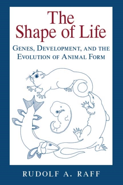 The Shape of Life : Genes, Development, and the Evolution of Animal Form, EPUB eBook