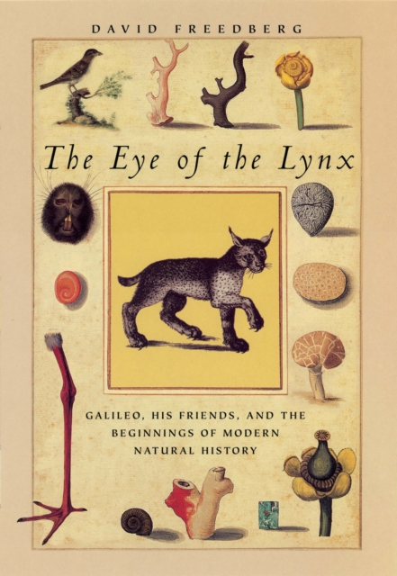 The Eye of the Lynx : Galileo, His Friends, and the Beginnings of Modern Natural History, PDF eBook