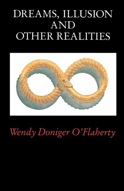Dreams, Illusion, and Other Realities, EPUB eBook