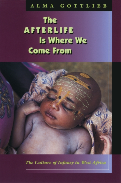 The Afterlife Is Where We Come From, EPUB eBook