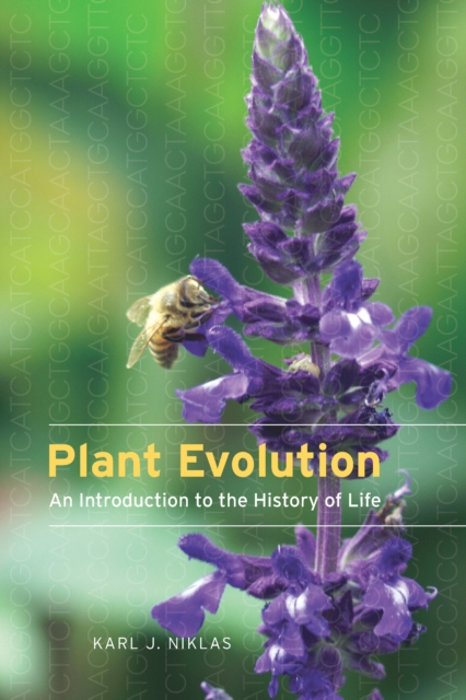 Plant Evolution : An Introduction to the History of Life, EPUB eBook