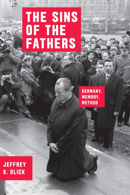 The Sins of the Fathers : Germany, Memory, Method, EPUB eBook