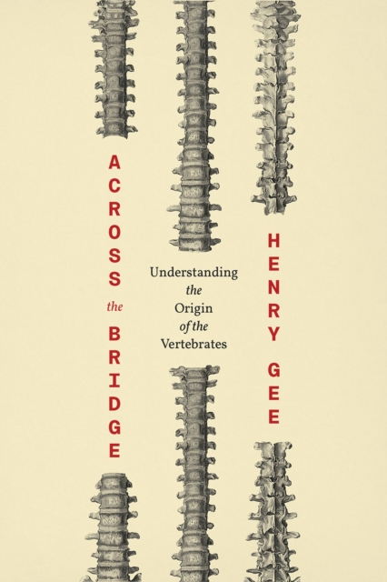 Across the Bridge : Understanding the Origin of the Vertebrates, Paperback / softback Book
